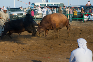 Превозмогая боль игры