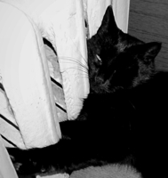 Да жёсткая, но зато тёплая