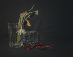 Последний лепесток