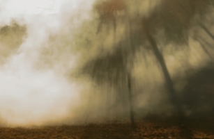 сквозь дымовую завесу