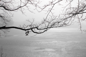 Там за туманами