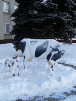 " - Да чё-то вымя у тебя жёсткое!"