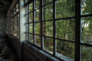 Здесь бывали герцоги и короли