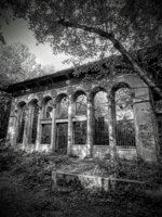 Руины заброшенного ресторана «Лето»