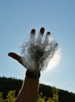 Мягкий, пушистый, огромный.