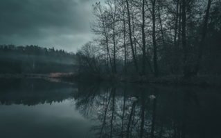 Туманное озеро