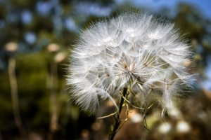 Предполетная