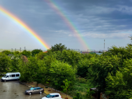 После дождя