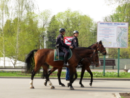 Дневной дозор