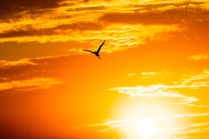 Закатный минимализм