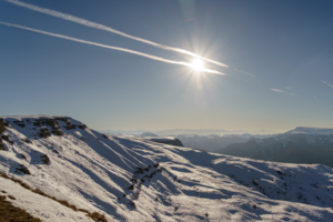 Лучше гор...