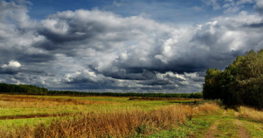 Скоро осень