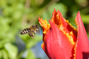 Притяжение