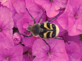 Мне хорошо!