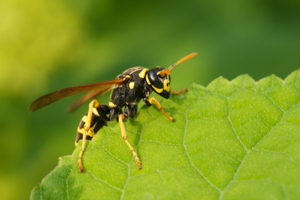 Перед взлётом