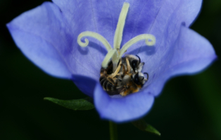 Уютное местечко