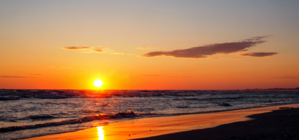 Я готов целовать песок по которому ты ходила