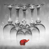 Не отпускай желаний