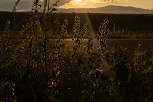 После грозы
