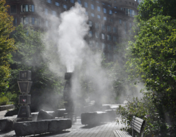 Попытка свежести в жаркий день