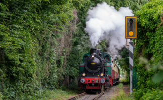 Наш паровоз вперёд лети