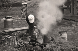 Сырые дровишки