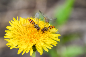 На солнечной поляночке