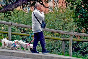 На ходу курить - сильнее здоровью вредить