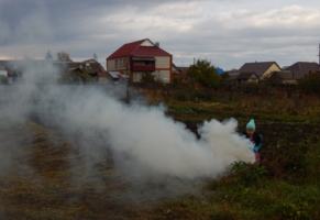 Хозяйственная соседка