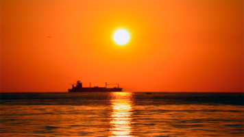 Все под солнцем