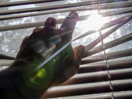 Коснуться солнца