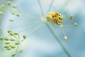 — Камеру убрал!