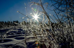 В студеную зимнюю пору