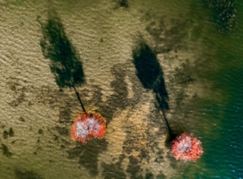 Мелководье