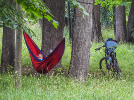 Приятное с полезным...