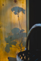 Утро началось с герани...