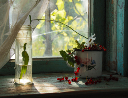 Домик окнами в сад