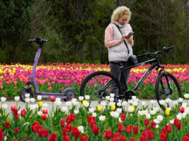 Правильный выбор