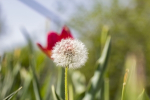 В новую жизнь