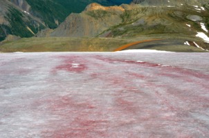 горячий снег, кровавый снег