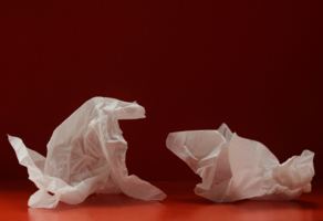 Дракон и собака