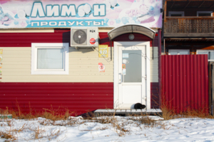 Котоклиент ждёт с весны