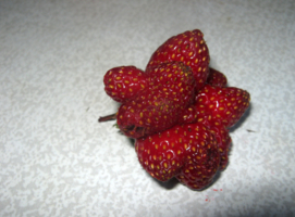 Странная клубничка