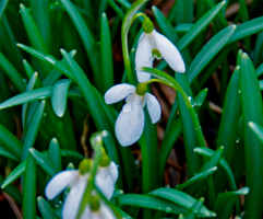 Начало всех начал