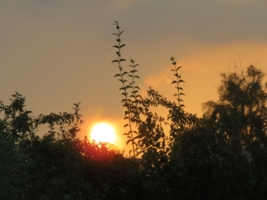 Солнце встаёт!!!