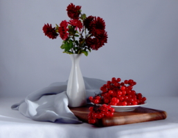 Калиновые бусины