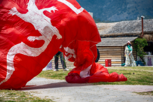 Белый дракон