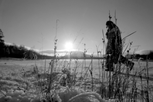 Мороз и солнце..