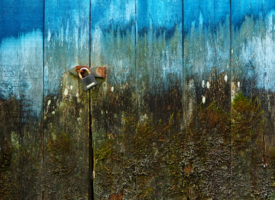 Быльём поросло...