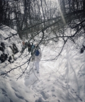 В любую погоду